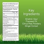 Irwin Naturals Stored-Fat Belly Burner - 60 Liquid Soft-Gels, Pack of 2 - Helps Support The Breakdown of Stored Fat - 40 Total Servings - Image 2