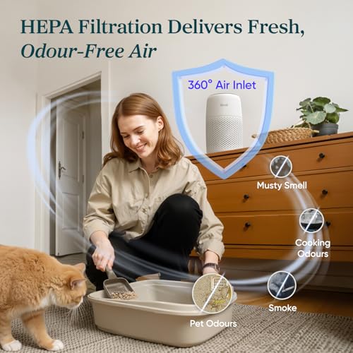 LEVOIT Core Mini Quiet HEPA Purifier