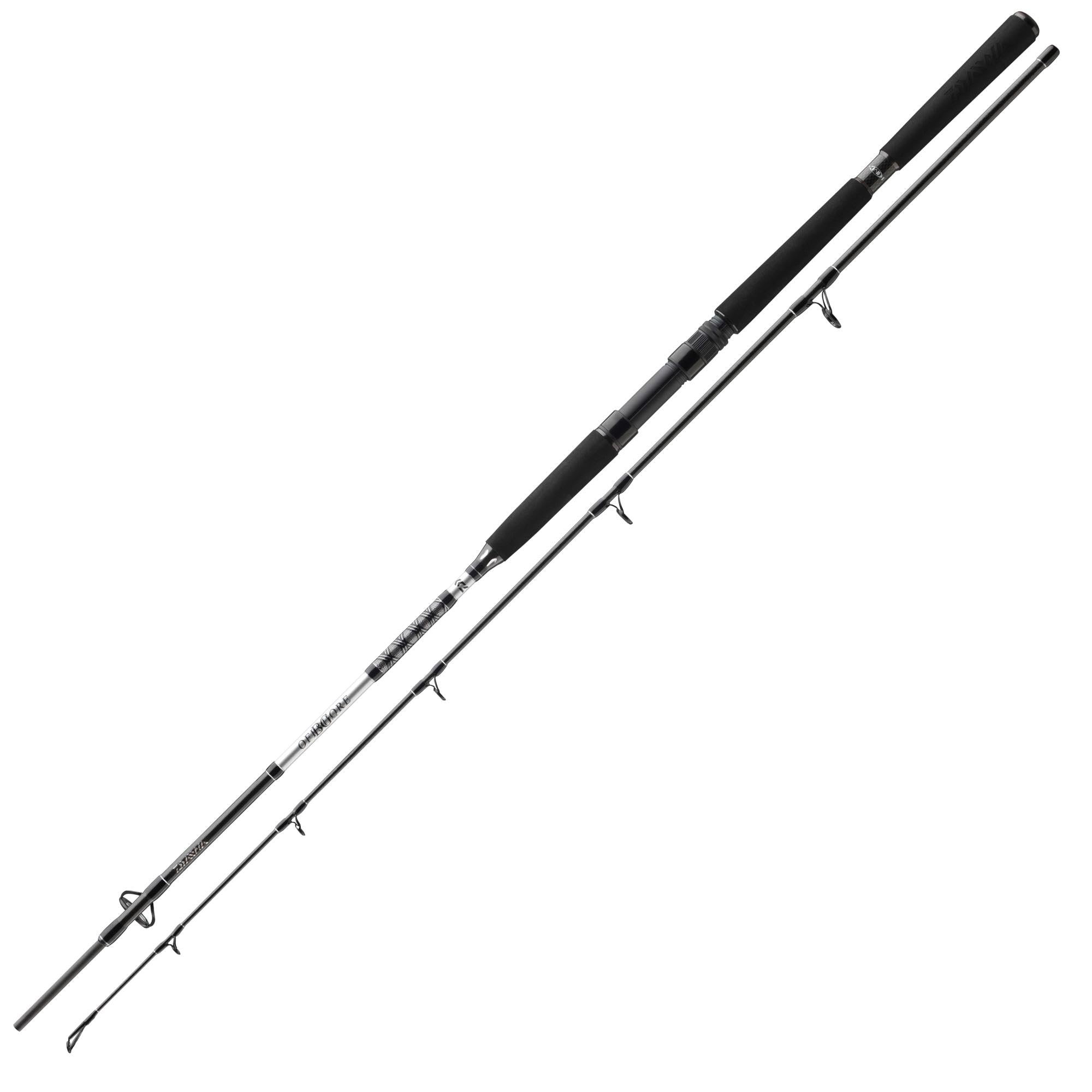 Daiwa BG Offshore Pilk 2,70m 50-165g Pilkrute