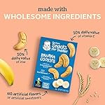 Gerber Snacks for Baby Arrowroot Biscuits, 5.5 Ounce Pouch (Pack of 4) - Image 5