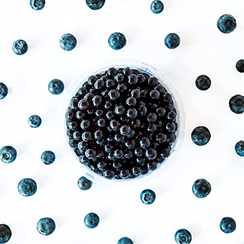 FRANKLY Popping Boba ai Mirtilli, barattolo da