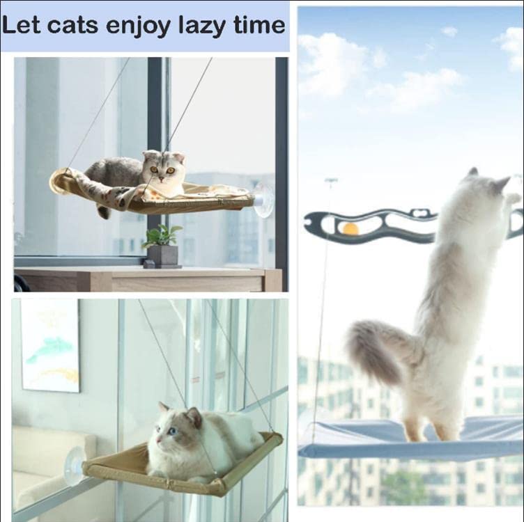 Cama Gato Ventana Hamaca Para Ventana De Gato Para Gato Montada En