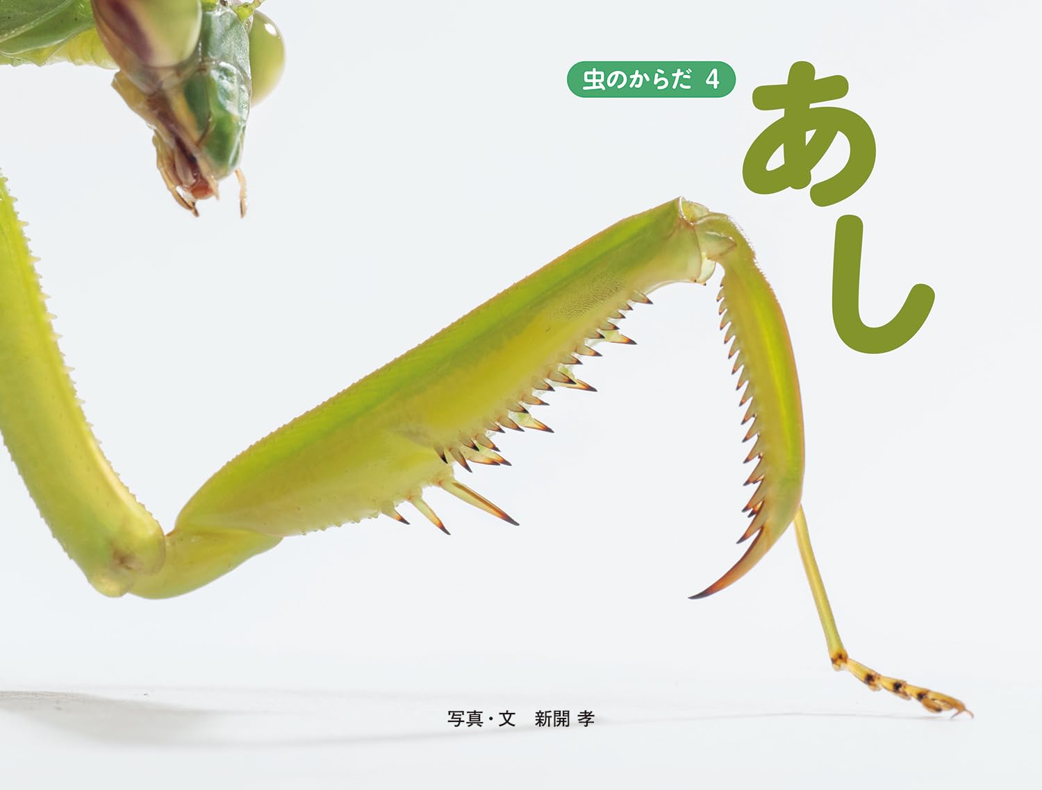 【原画】『人は芥虫、芥虫』(ひとはごみむし、あくたむし 0x0000000000010000078d00000024