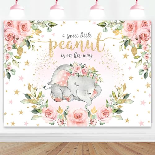 Mocsicka Elefant Babyparty Hintergrund DR-AN-2024
