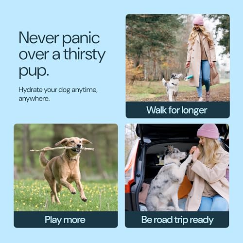 MalsiPree Insulated Dog Water Bottle 24oz (Stainless Steel, Pink) — view 6