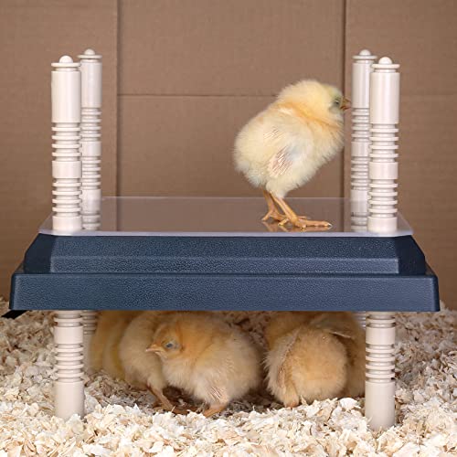 Pitalok Brooder Heater for Chicks: Chick Brooder Heating Plate with Easy- Cleaning Plate Poultry Coop Heater Chicks Warmer 12" x 12" for 20 Chicks Adjustable Height Brooding Heater 22 Watts by Pitalok - Image 7
