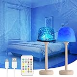 HIULLEN Duschlampe Ocean Lamp Wave Lamp, Wasserwellen Effekt Stimmungslicht mit 16 Farben Nordlicht, Dimmbar Sternenhimmel Projektor für Bad Outdoor Garten Deko Geschenk