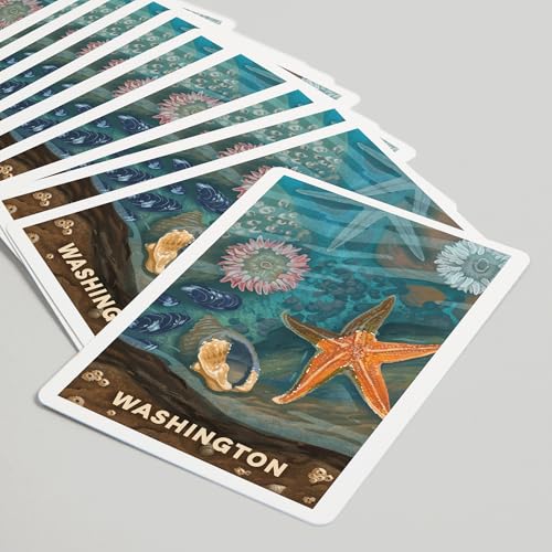 Lantern Press Naipes Póker 52 Cartas Tamaño Estándar miniatura 5