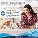 Forza10 - Cat Food, Vet-Formulated Renal Wet Cat Food, Non GMO, Kidney Care Food with Lamb Flavor, Crafted for Adults, Made in Italy (3.5 oz, 32 Pack)