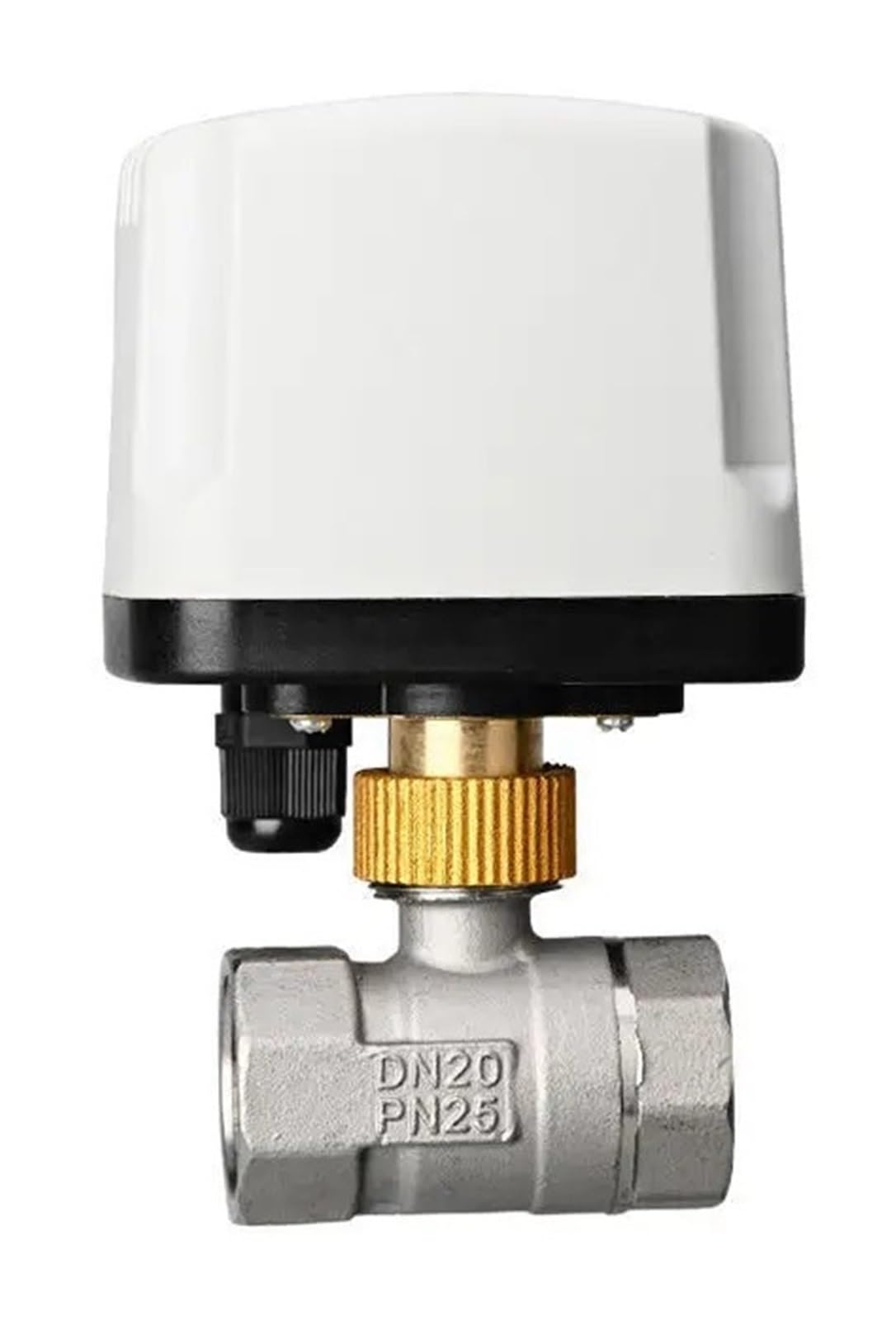 Robinet à bille électrique en acier inoxydable 2 pouces 220V