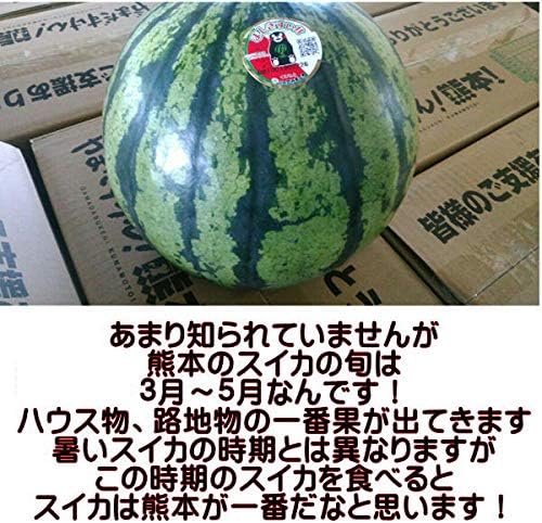 すいか　訳あり　サイズM以上（5キロ以上）スイカ　西瓜　熊本産　1玉入り【フルーツ甘味屋GGY】