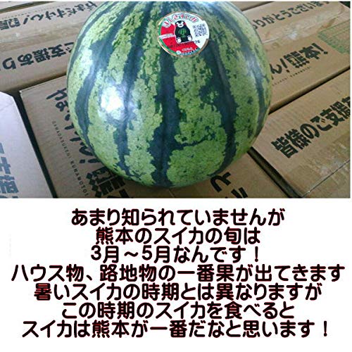 Amazon.co.jp: すいか 訳あり サイズS（約4キロ）スイカ 西瓜