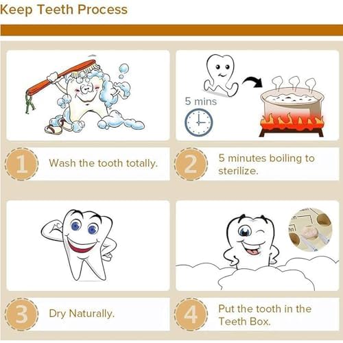 Zahnbox Holz Milchzähne Box,Milchzahndose,Zahnbox für Milchzähne,Milchzahndose Mädchen,Zahnschachtel Milchzähne,MultifunktionsBücherregal(Rouge étoilé) Buchständer