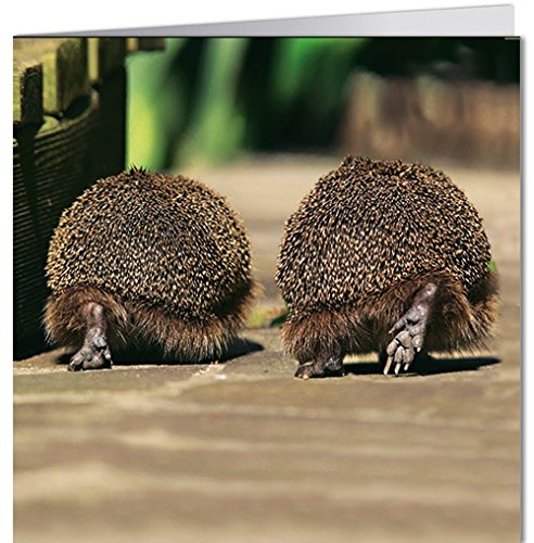 Biglietto di auguri Geo di Modern Times + + +