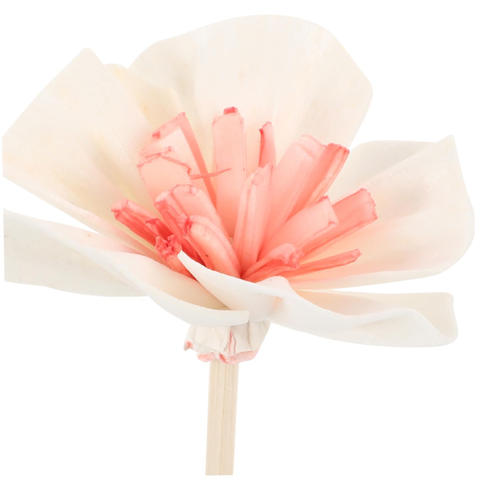 Anneome 5pcs Elegant Decorative Diffuser Sticks for Scented Fragrance Bottles Dried Flower Diffuser for Home Decor Relaxation