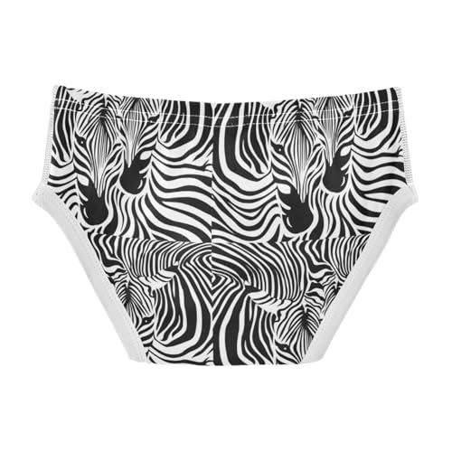 Boys' Exclusive Briefs Toddler Underwear 95% Combed Cotton Boxerbriefs 2T Zebra Stripes Pattern 362