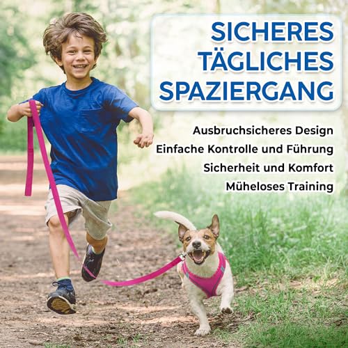 Hundegeschirr + Leine - Klein, Rosa - Weich gepolstert, No Pull Design Haustiergeschirr + Reflektierende Streifen für kleine Hunde - von EcoEarth