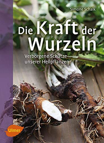 Die Kraft der Wurzeln: Verborgene Schätze unserer Heilpflanzen