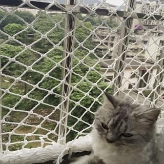 GEIRONV Garden Decoration Net, Outdoor Nylon Rope Child Stair Safety Net Balcony Protection Pet Isolation Rope Net Hammock Swing Net Protection Rope Net (Color : White, Size : 1 * 1m)