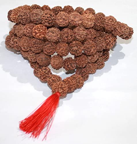 Himalayan Organic Rudraksha Meditation Natural Mala with Bigger Size 16-18 MM and 108 +1 Prayer Guru Beads. Grown up in high Himalaya of Nepal Without Chemical, Wax and Color Treatment Good for Puja, Yoga, Meditation2