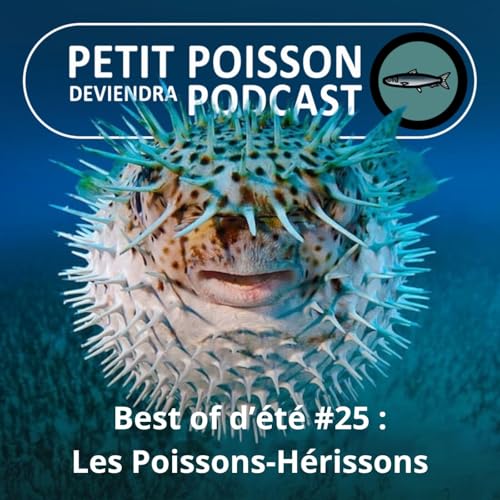 『BEST OF D'ÉTÉ #24 : Les Poissons-Hérissons : Ceinture et bretelles, gonflables et épineux !』のカバーアート