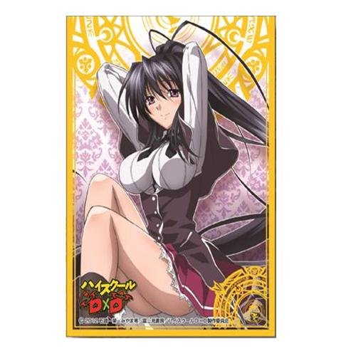 Protège-carte High School DxD Akeno Himejima Ensky Sleeve de collection TCG