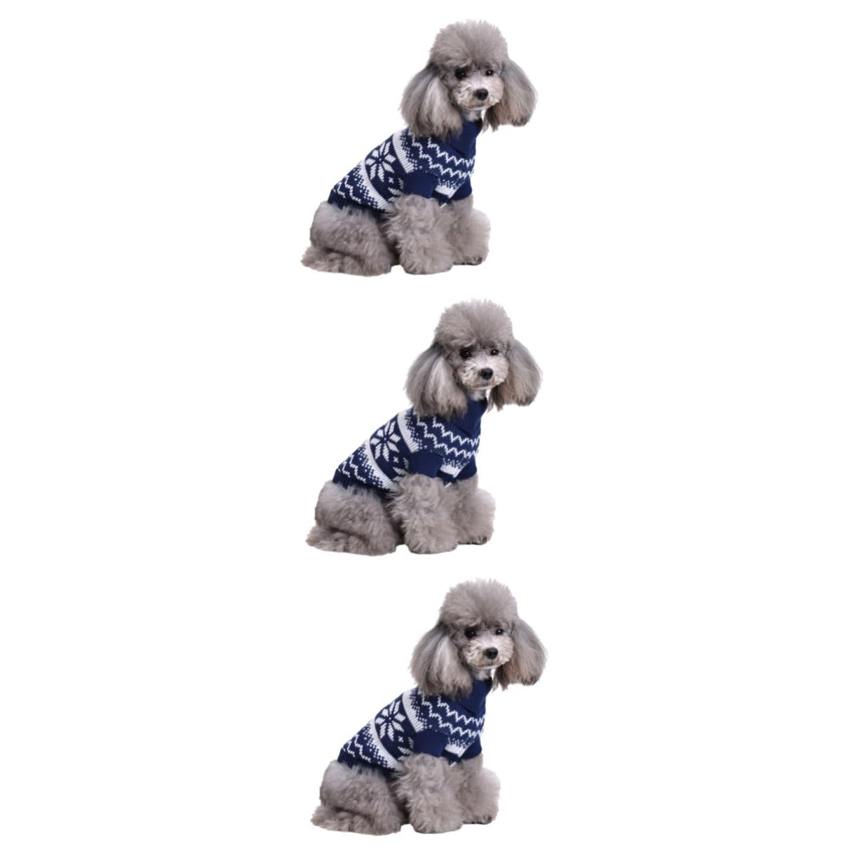 Vêtements de chiot pour Noël et fêtes de fin d'année en famille