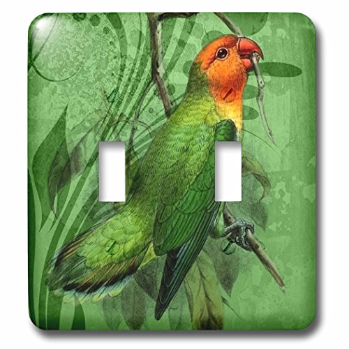 Interruptor de doble palanca 3dRose lsp_62898_2 placa de pared decorativa 2