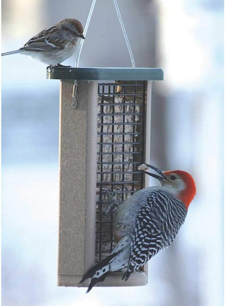 Birds Choice Double Suet Feeder, Holds 2 Suet Cakes| Hanging Suet Bird Feeder with Roof, Woodpeckers, Jays, Nuthatches | Vinyl Coated Grids | Sturdy for Outdoor | Taupe & Green, 8”L x 3”W x 11”H