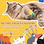 Ptwola 4 Pcs Natural Fruit Silvervine Sticks Cat Kittens Chew Toys Indoor Lollipops Interactive Cat DentalTeething Nip Treat Toys Care Teeth Cleaning for Bored Essentials Increase Appetite Kicker - Image 4