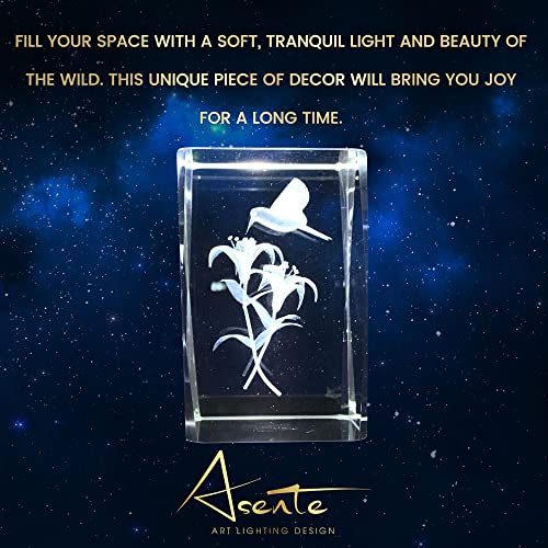 Asente 4 Ultra Bright Led Light Base Bundle With Hummingbird 3D Laser Etched Crystal Glass Picture - A Unique And Sentimental Gift For Collectors, Portable & Ultra Bight White Led Light #TOP4