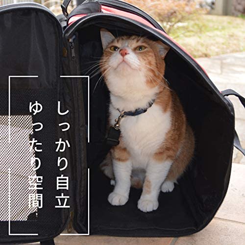 Amazon.co.jp: ポンポリース 犬 猫用 バックパック キャリーリュック