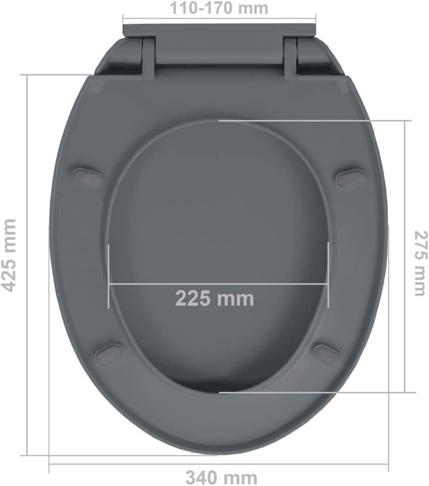 AAGAZA Home Toilet Seat, Soft Close Toilet Seat Scratch Resistan for Toilet for Family for Homes