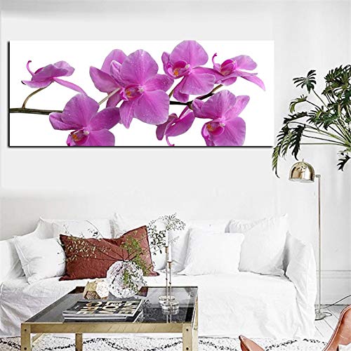 Affiche plante orchidée rose pour décoration murale canapé maison 70x140cm