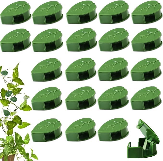 TASMAX money plant holder plant support clips plant clips for climbers money plant clips for wall support climber support for plants climbing clips for plants creeper climb clip LEAF SHAPE PACK of 20