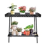 Metal Plant Shelf Indoor,2 Tier Outdoor Plant Stand Table for Multiple Plants,Corner Narrow Plant Ho