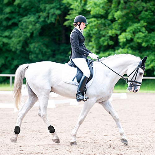 KKmoon 2 PCS Botas traseiras de cavalo eqüino proteção de perna de cavalo tendão proteção da canela