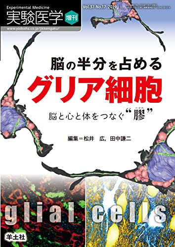 実験医学増刊 Vol.37 No.17 脳の半分を占める グリア細胞
