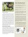 The Original Horse Bible: The Definitive Source for All Things Horse (CompanionHouse Books) 175 Breed Profiles, Training Tips, Riding Insights, Competitive Activities, Grooming, and Health Remedies