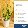 Product Photo 6