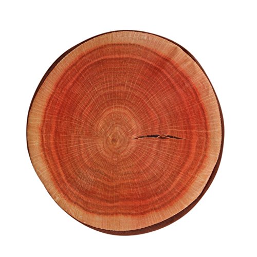 Whitelotous 3D Print Fruit Office Chair Back Cushion Sofa Throw Pillow,12.9 Inch Round, 5 Designs (Log)