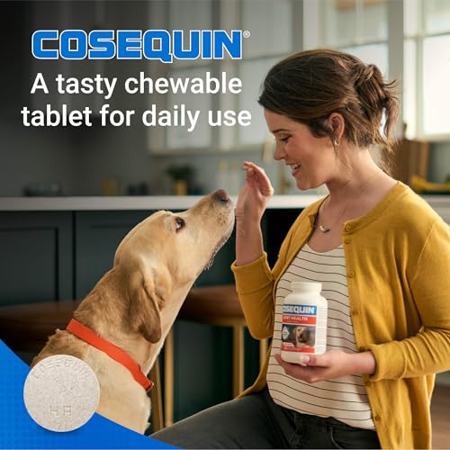 Image of Nutramax Cosequin for Dogs Joint Health Supplement, Contains Glucosamine for Dogs, Plus Chondroitin, MSM and HA, Supports Healthy Joints, Chewable Tablets, 150 Count
