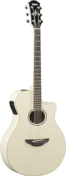 Amazon.com: Yamaha APX600 VW Thin Body Acoustic-Electric