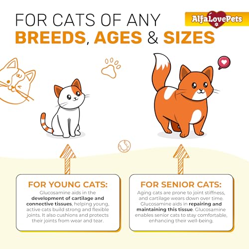Cat Joint Supplement for All Breeds – Glucosamine for Cats and Kittens – Glucosamine, Chondroitin, MSM for Hip & Joint Care – Natural Ingredients with Chicken Flavor – 2 Oz