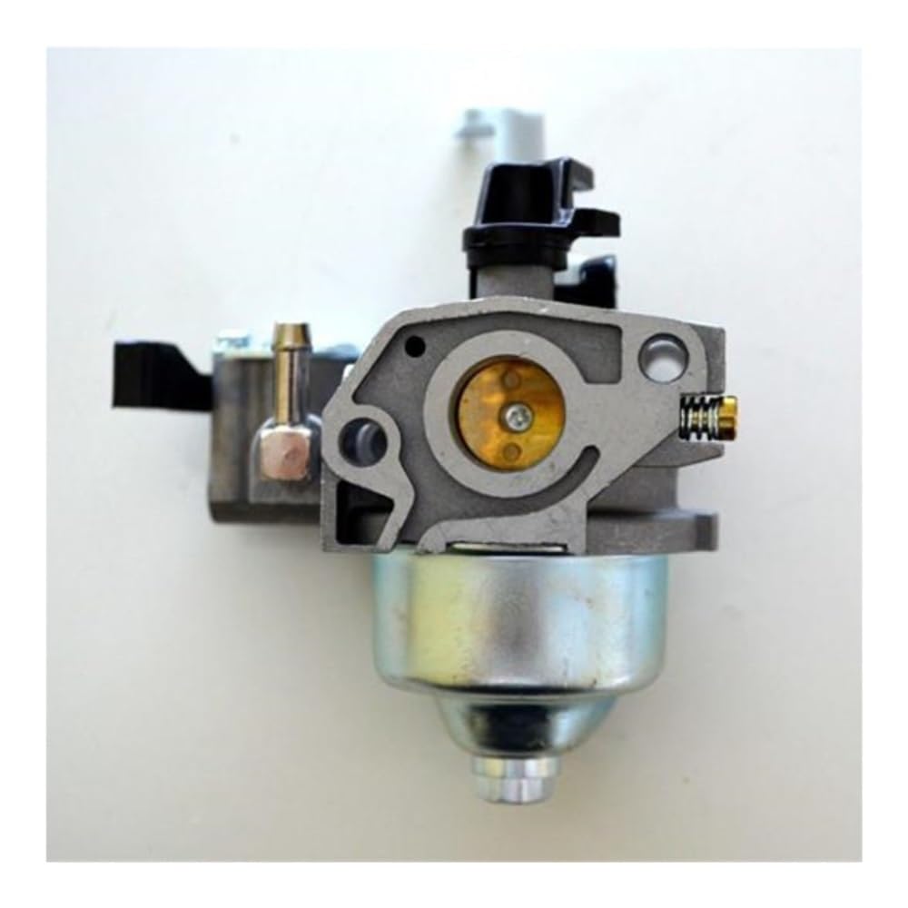 Carburateur de pompe à eau WX15 pour l'irrigation du jardin