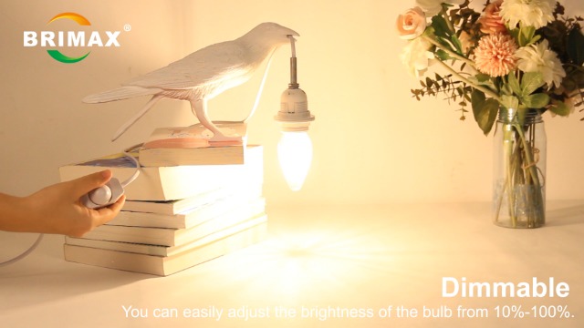 ■■最終特価■アトミック■D2 DEMO VF-LIGHT■152cm■調整ビン BRIMAX F15 8W Led Porch Light Bulb Outdoor, E26 Medium Base LED