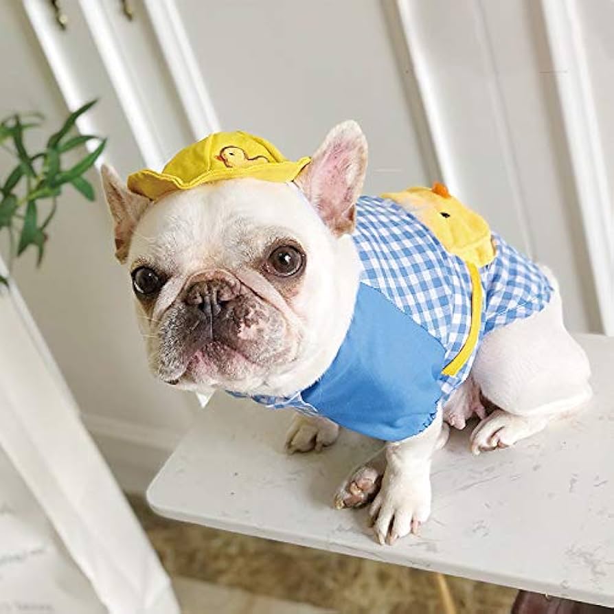 犬服 小型犬 パピー犬 洋服 帽子 k-city_md98071