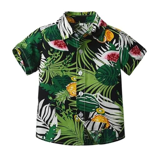 Mjjsk Camisas hawaianas con botones para niños, camisa de manga corta para niños, diseño de árbol de coco tropical, camisas divertidas, floral, playa, vacaciones, verano, A21, verde, 8-9 años | Ya disponible en tu tienda friki favorita! En mundofriki.es! Mjjsk Camisas hawaianas con botones para niños, camisa de manga corta para niños, diseño de árbol de coco tropical, camisas divertidas, floral, playa, vacaciones, verano, A21, verde, 8-9 años | Ya disponible en tu tienda friki favorita! En mundofriki.es!