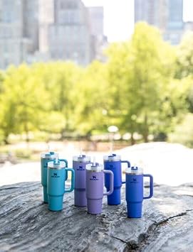 STANLEY Quencher H2.0 Tumbler with Straw 30 oz | Flowstate 3-Position Lid | Cup Holder Compatible for Travel | Insulated Stainless Steel Cup | BPA-Free | Iris