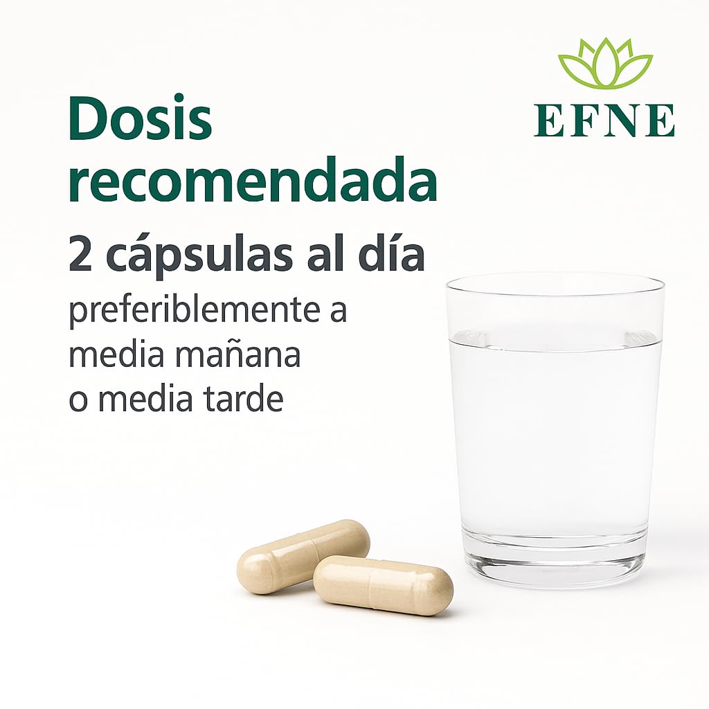 EFNE Probiotico Megaflora – 60 capsulas – Fórmula avanzada Megaflora Evo 9 (multi‑cepa, 9 cepas) – 100 % vegano – Apoyo digestión, microbiota equilibrada e inmunidad, formula avanzada